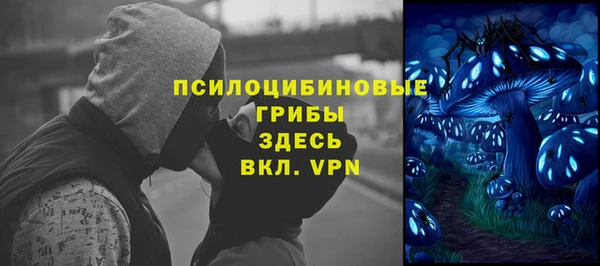 ешки Белокуриха