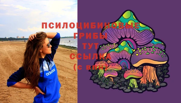 ешки Белокуриха