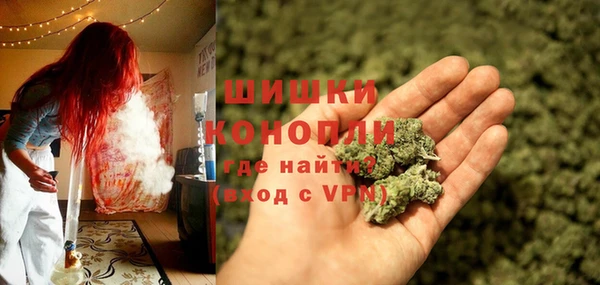 ешки Белокуриха