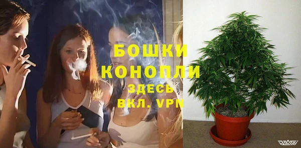 ешки Белокуриха