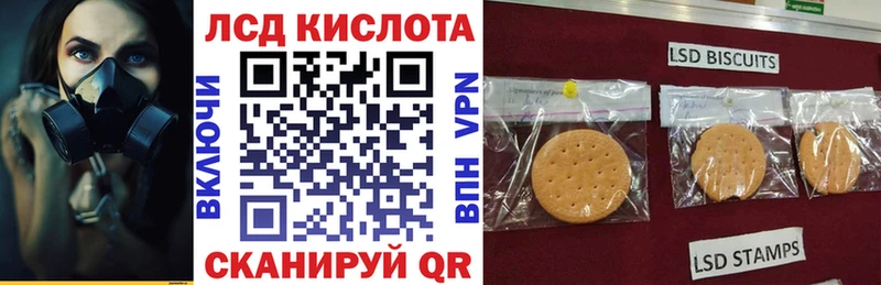 где можно купить наркотик  Кашин  Марки 25I-NBOMe 1,5мг 