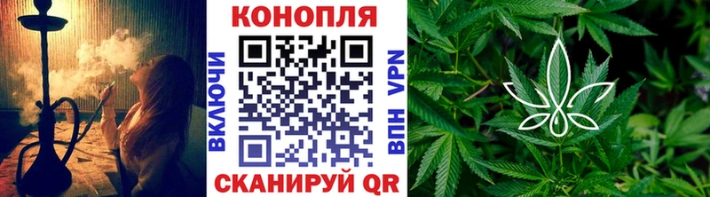 Бошки Шишки VHQ  купить наркотики цена  Кашин 